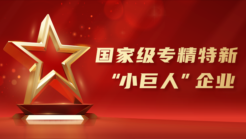 喜报！z6娱乐中庆幸获国度级专精特新&ldquo;幼巨人&rdquo;企业认证